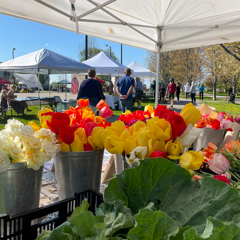 Spring at the Cobourg Farmers Market "around the oval"